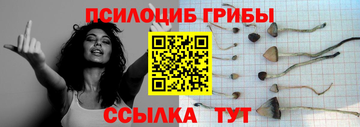 Ишим  Галлюциногенные грибы мицелий  Вход с VPN 